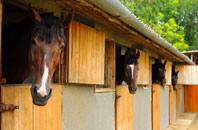 free Head Of Muir stable construction quotes